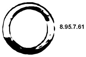 Уплотнительное кольцо, труба выхлопного газа 8.95.7.61