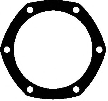 Gasket, timing case cover 774.031