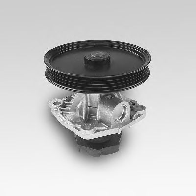 Water Pump P125