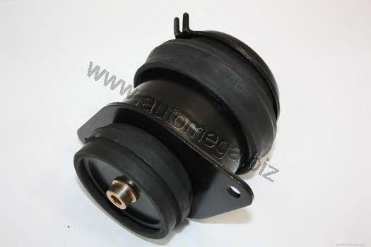 Engine Mounting 1019902621H0E