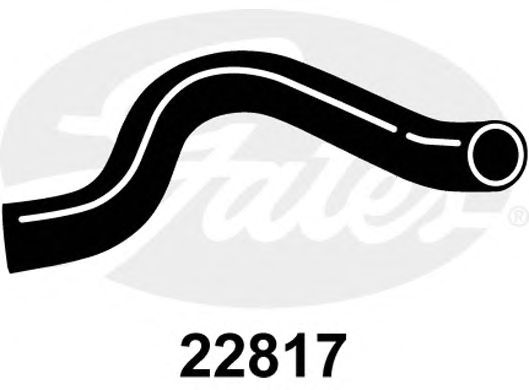 Tubo flexível do radiador 22817