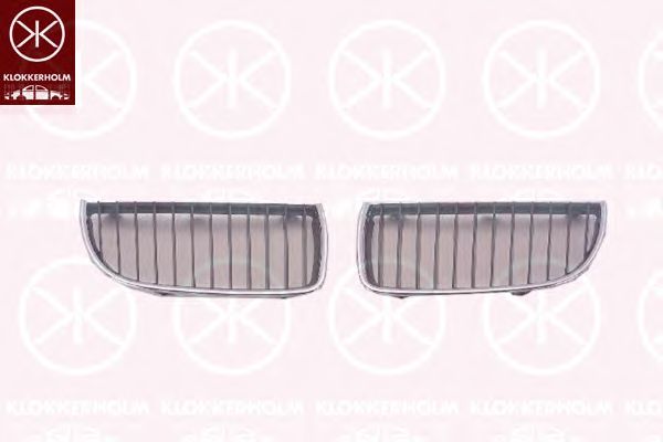 Radiateurgrille 0062991A1