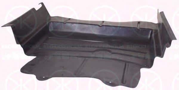 Engine Cover 2509795