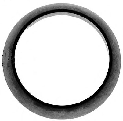 Gasket, exhaust pipe 703.613