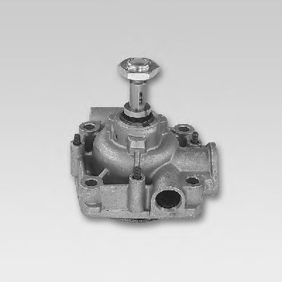 Water Pump P093