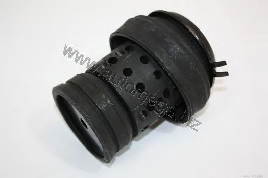 Engine Mounting 1019906091H0E