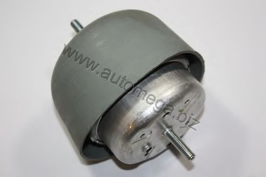 Engine Mounting 1019903828D0M