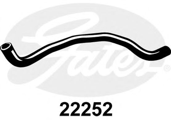 Radiator Hose 22252