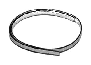 Trim/Protective Strip, bumper 1876586