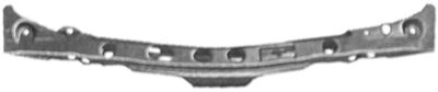 Front Cowling 221670