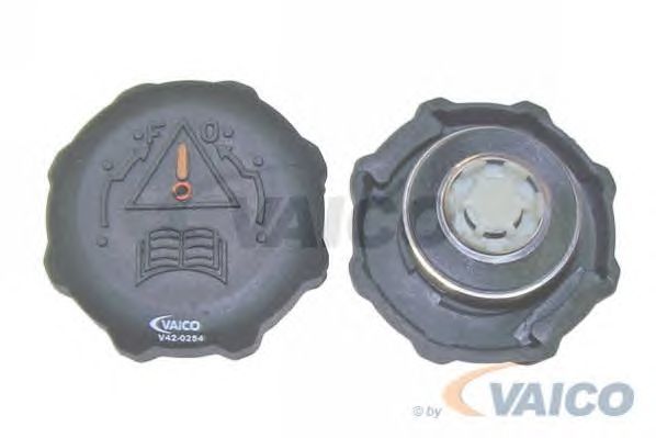 Cap, radiator V42-0254