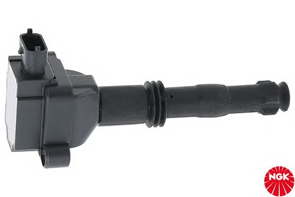 Ignition Coil 48221
