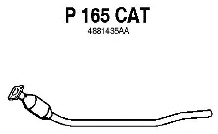 Catalisador P165CAT