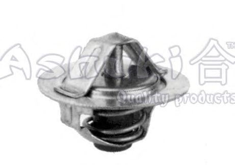 Thermostat, coolant N602-01