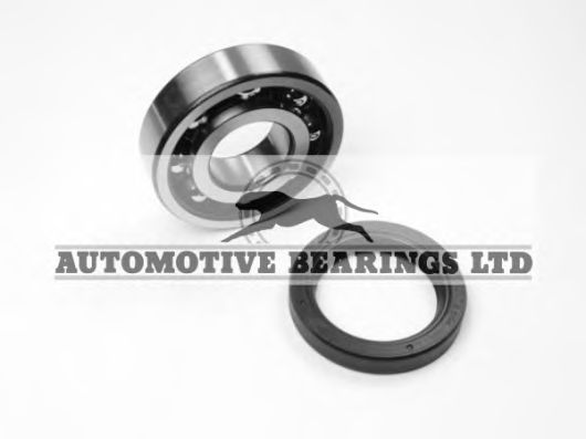 Wheel Bearing Kit ABK138