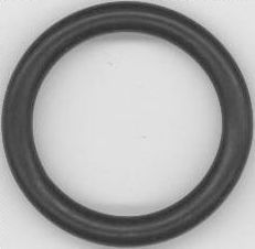 O-Ring, push rod tube 750.298