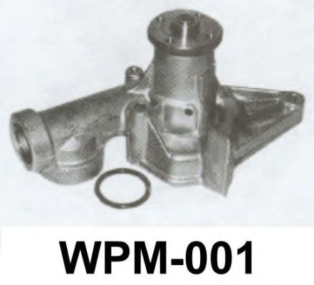 Bomba de água WPM-001