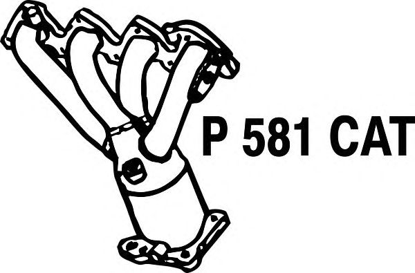 Catalizzatore P581CAT