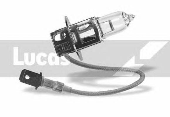 Bulb, headlight; Bulb, fog light; Bulb, rear fog light LLB453