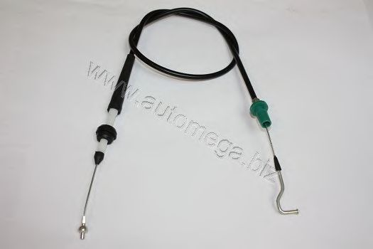 Accelerator Cable 307210555171T