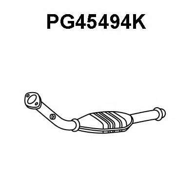 Catalyseur PG45494K