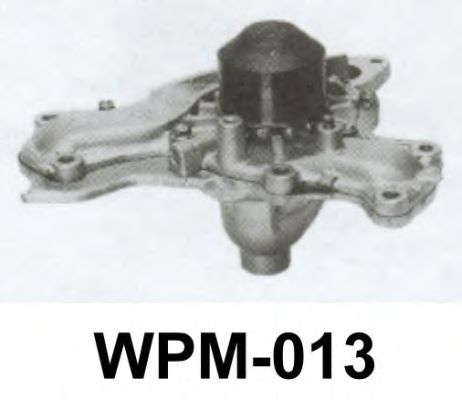 Water Pump WPM-013