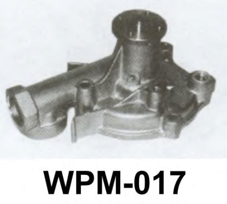 Waterpomp WPM-017