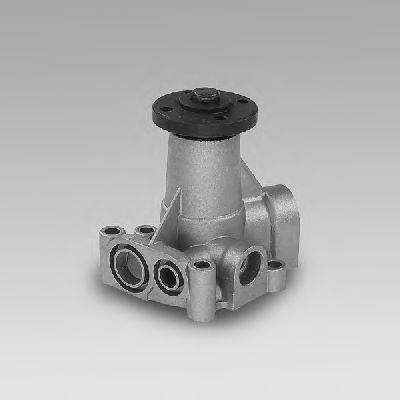 Water Pump P055