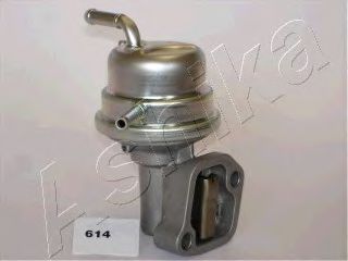 Fuel Pump 05-06-614
