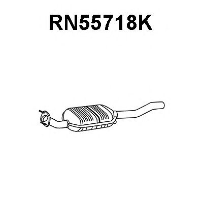 Katalysator RN55718K