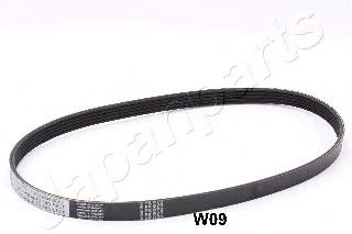 V-Ribbed Belts TV-W09