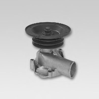 Water Pump P833