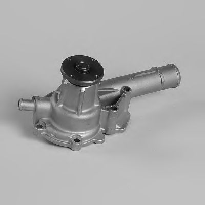 Water Pump P717