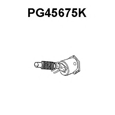 Catalisador PG45675K
