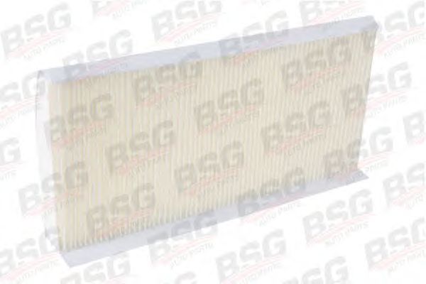Kabineluftfilter BSG 30-145-003