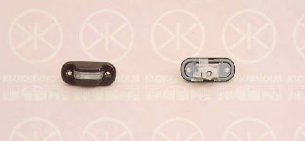 Licence Plate Light 95200855A1