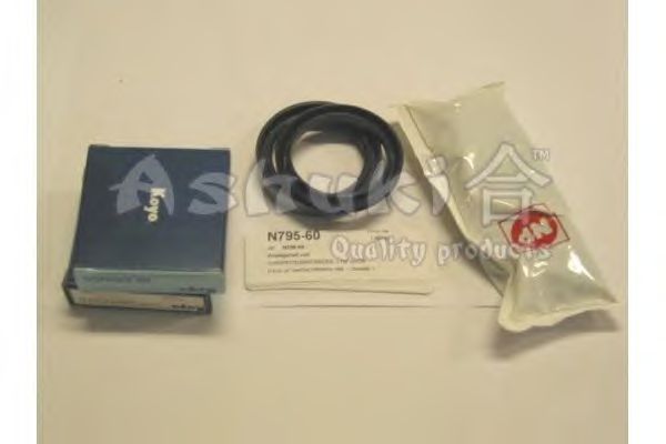 Wheel Bearing Kit N795-60
