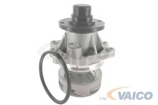 Water Pump V20-50012