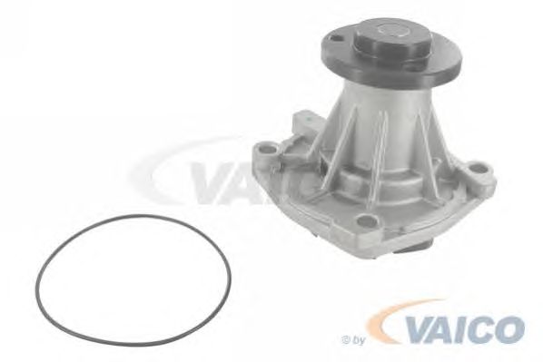 Water Pump V40-50054