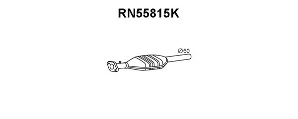 Catalisador RN55815K