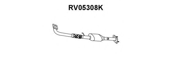 Catalyseur RV05308K
