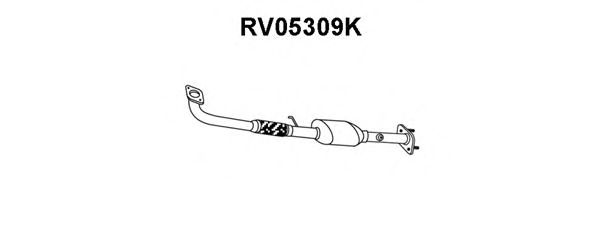 Catalyseur RV05309K