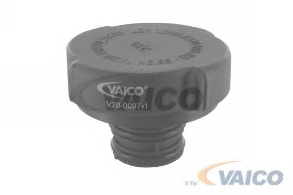 Cap, radiator V20-0097-1