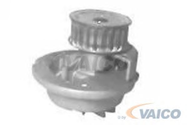 Water Pump V40-50034