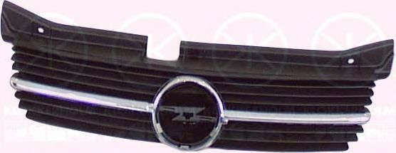 Radiateurgrille 5040991A1