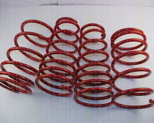 Suspension Kit, coil springs 8755 13007