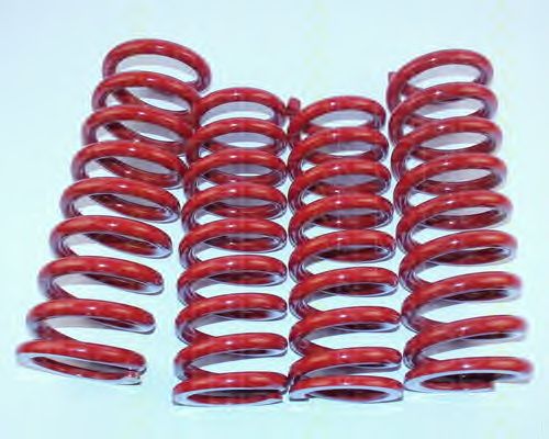 Suspension Kit, coil springs 8755 23010