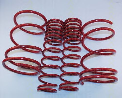 Suspension Kit, coil springs 8755 27009
