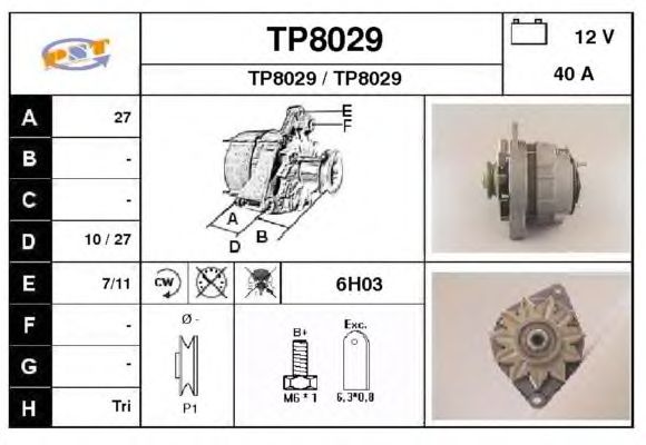 Alternatör TP8029