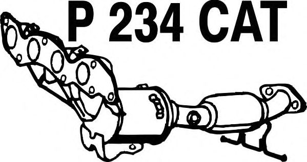 Catalisador P234CAT